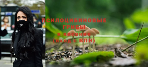 spice Медвежьегорск