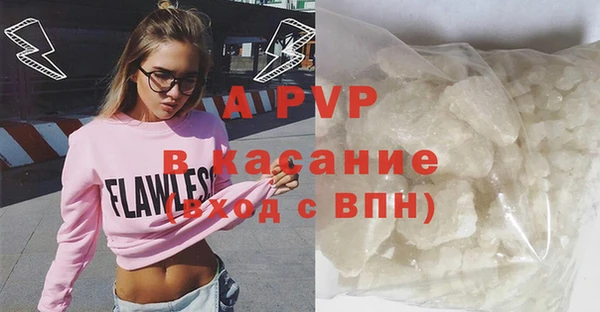 стаф Братск